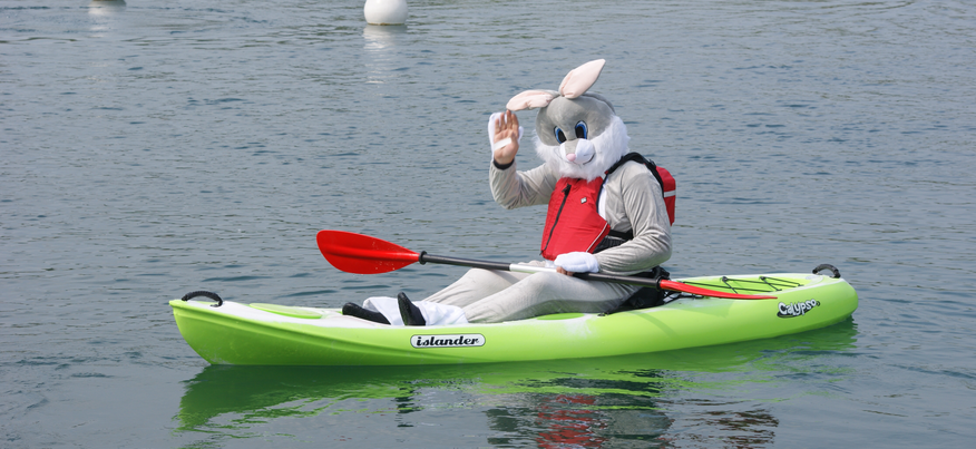 kayak bunny 1